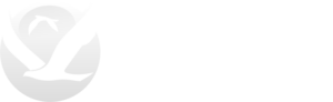 Somerset Community Service